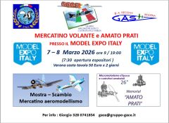 Verona - Mercatino Volanto e Amato Prati
                  presso verona Model Expo -marzo 2026
