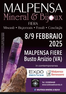 Mineral - Busto arsizio (VA) -
            febbraio 2025